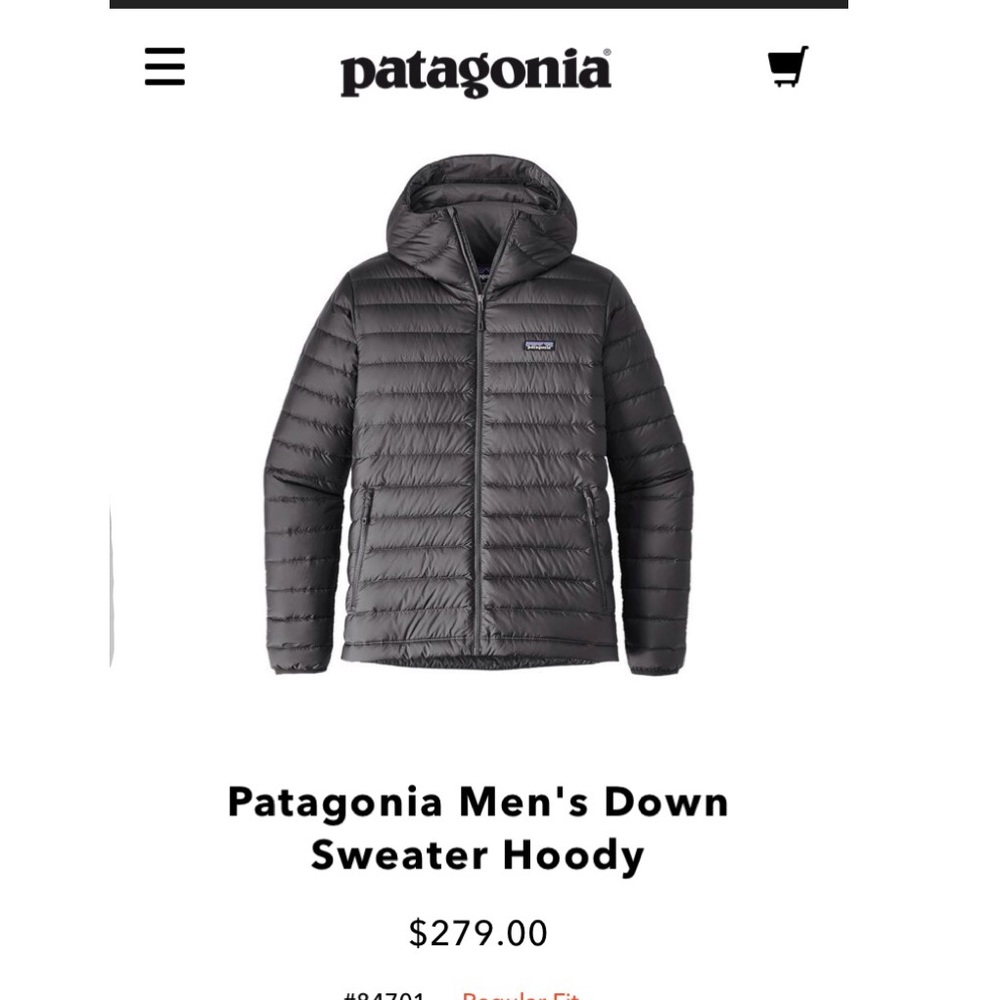 Patagonia Men’s Down Jacket